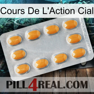 Cial Stock Price cialis3